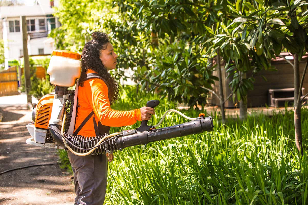 Mosquito Control in Louisville, KY Limbwalker